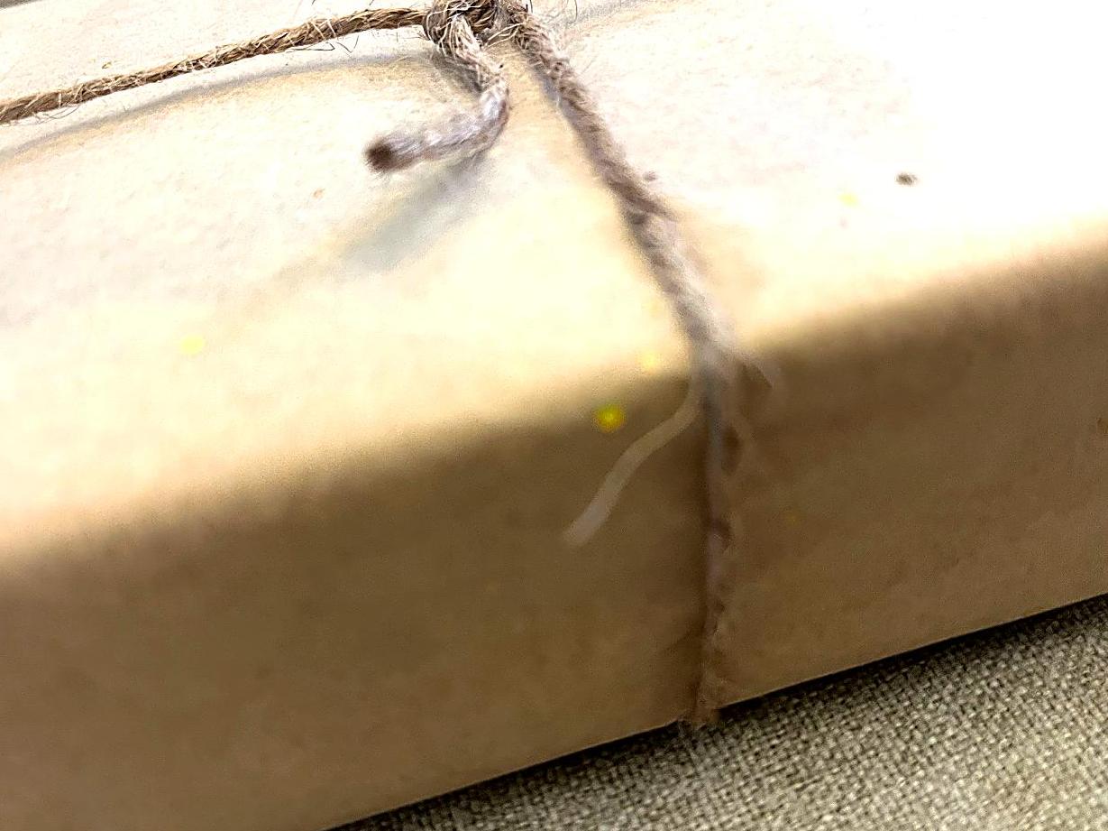 Box of Christmas Love