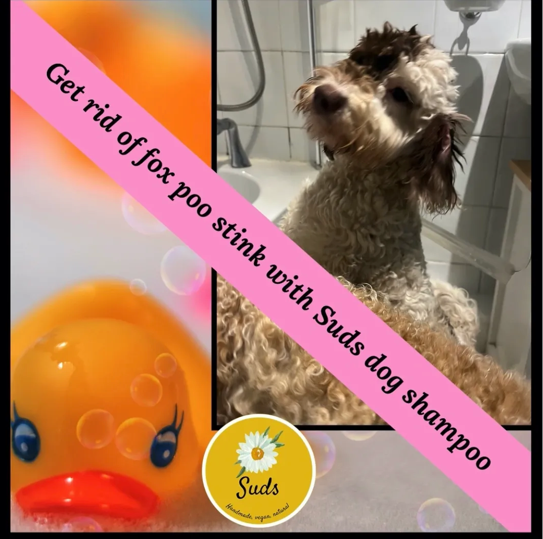 Vegan Dog Shampoo (Antibacterial, Antiviral)